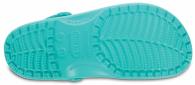 Classic Tropical Teal
