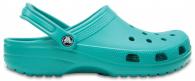 Classic Tropical Teal